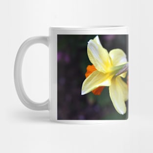 Daffodil Couple Mug